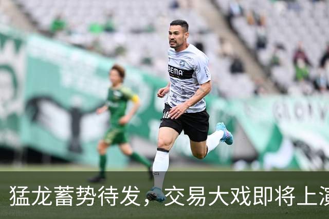 猛龙蓄势待发，交易大戏即将上演！